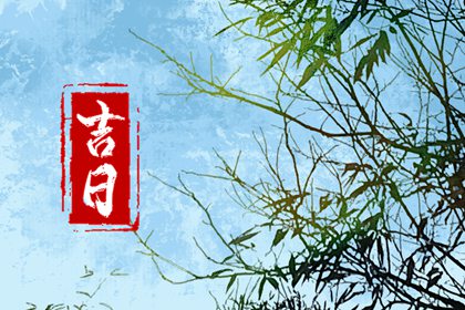 列表为何会刷新